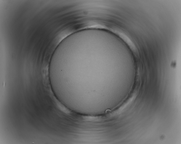 X0000102531281200808221857