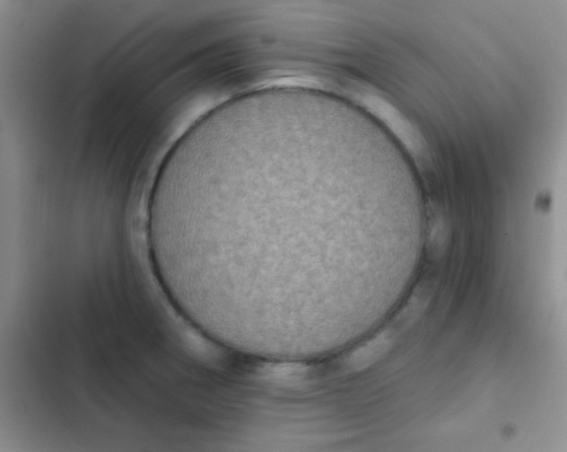 X0000102531282200808221857