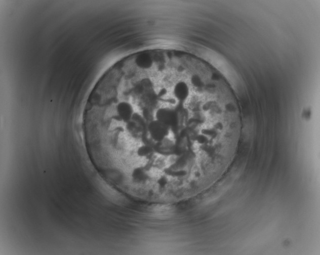 X0000102531283200808221857