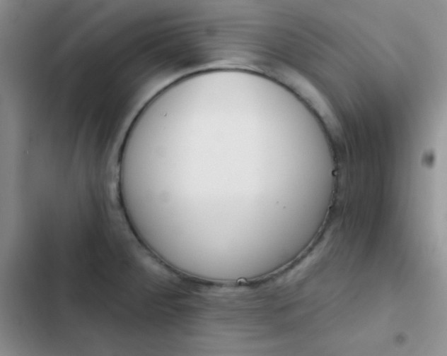 X0000102531284200808221857