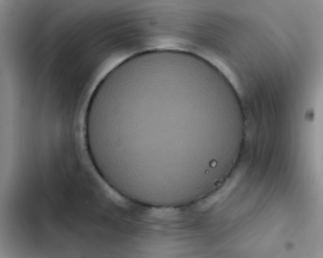 X0000102531285200808221857