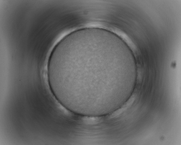 X0000102531286200808221857