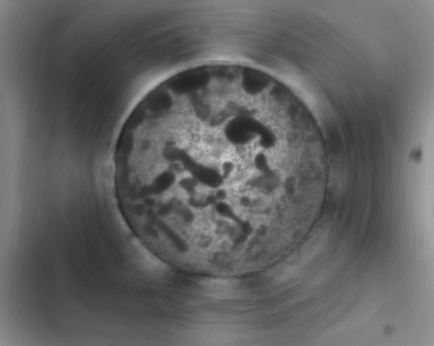 X0000102531287200808221857