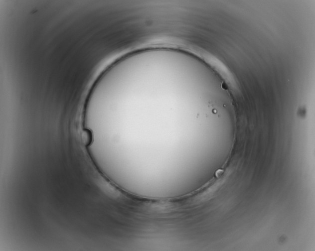 X0000102531288200808221857