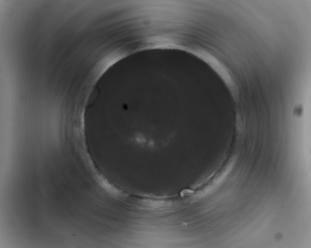 X0000102531289200808221857