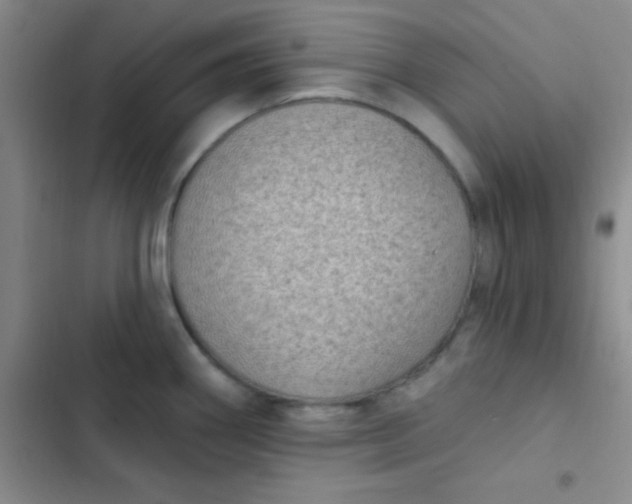 X0000102531290200808221857