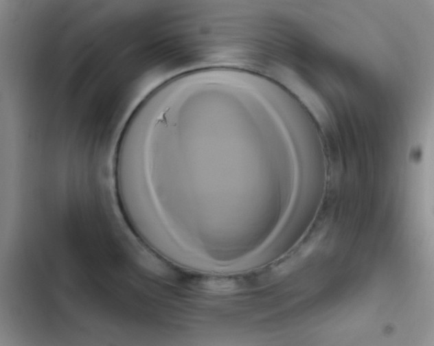 X0000102531291200808221856