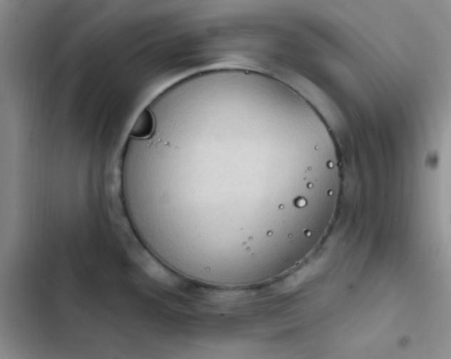 X0000102531292200808221856