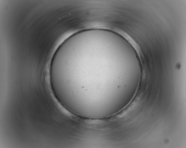 X0000102531293200808221856