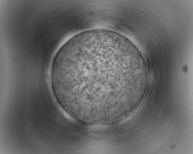 X0000102531294200808221856