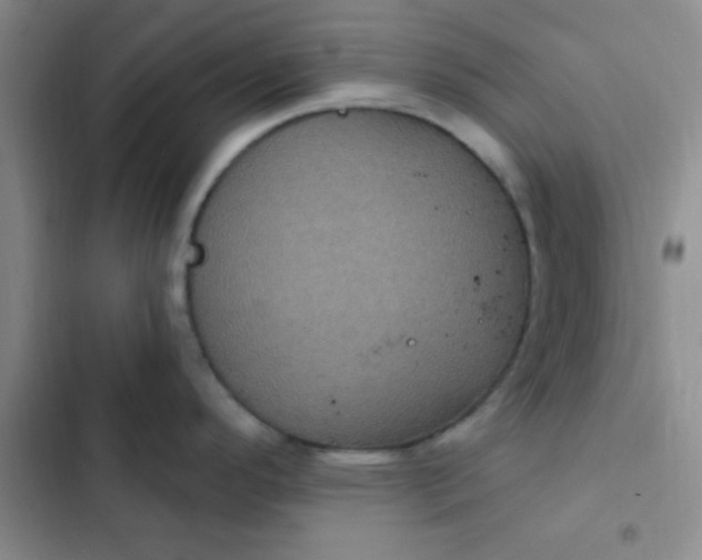 X0000102531296200808221856