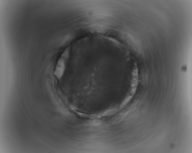 X0000102531297200808221856