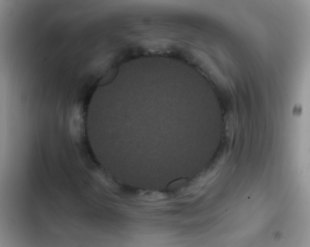 X0000102531298200808221856