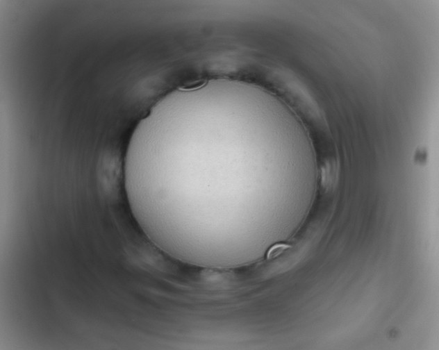 X0000102531299200808221856