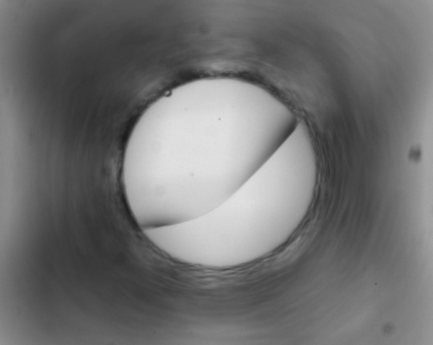 X0000102531300200808221856