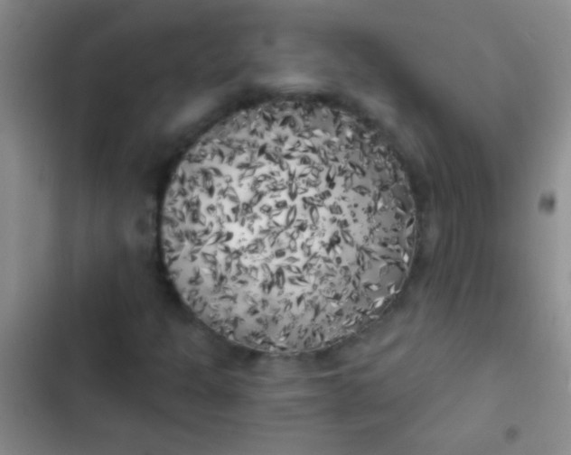 X0000102531301200808221856