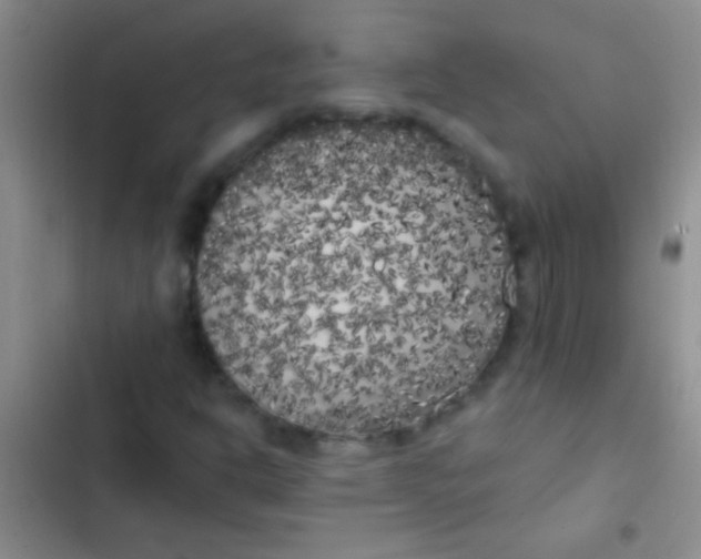 X0000102531302200808221856