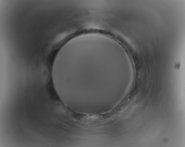 X0000102531303200808221856