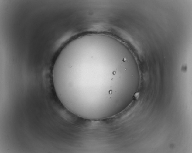 X0000102531304200808221856