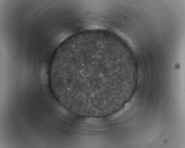 X0000102531305200808221856