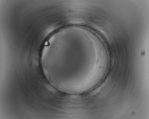 X0000102531306200808221856