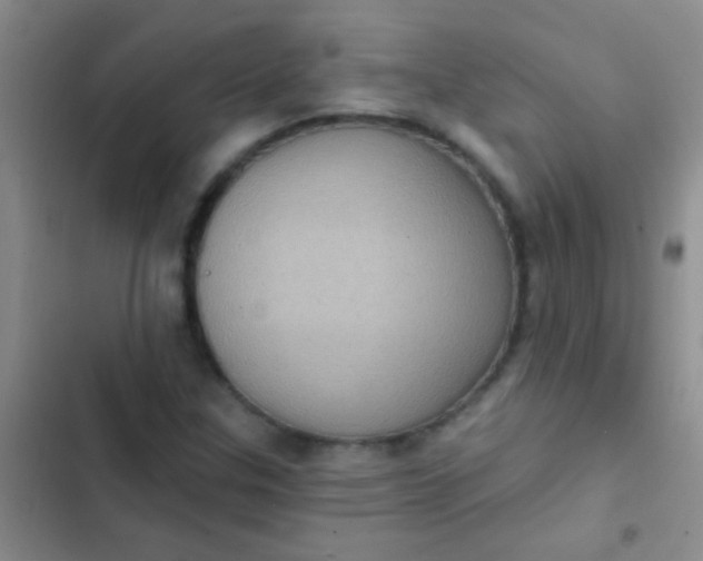 X0000102531307200808221856