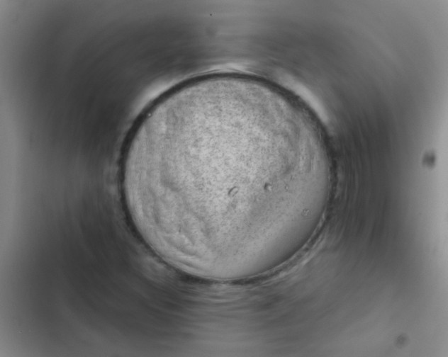 X0000102531308200808221856