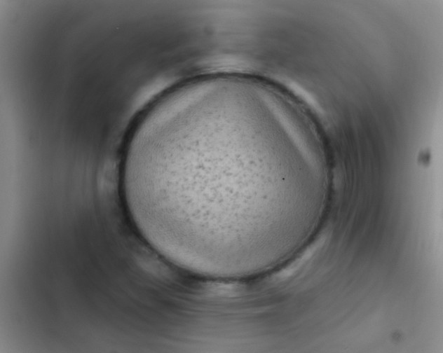 X0000102531309200808221856