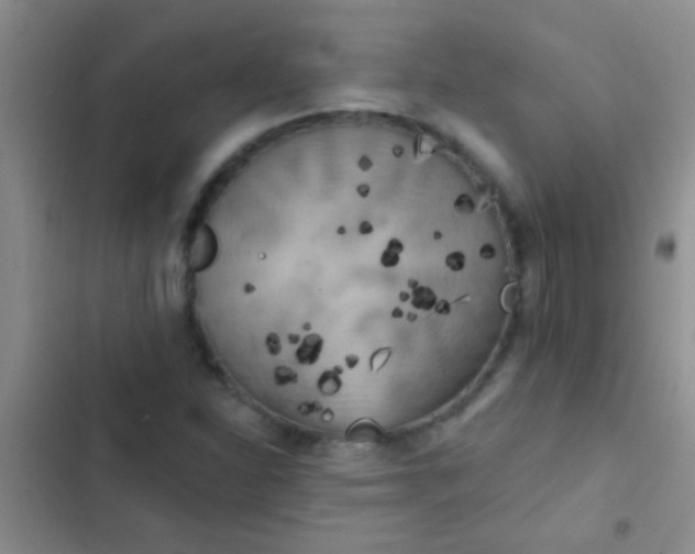 X0000102531310200808221856