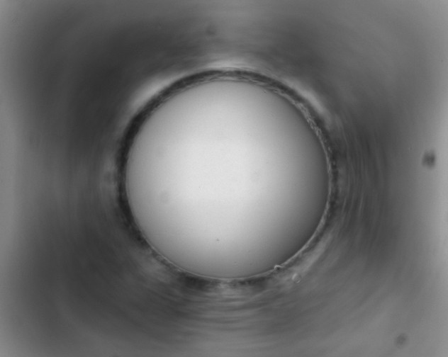 X0000102531311200808221856