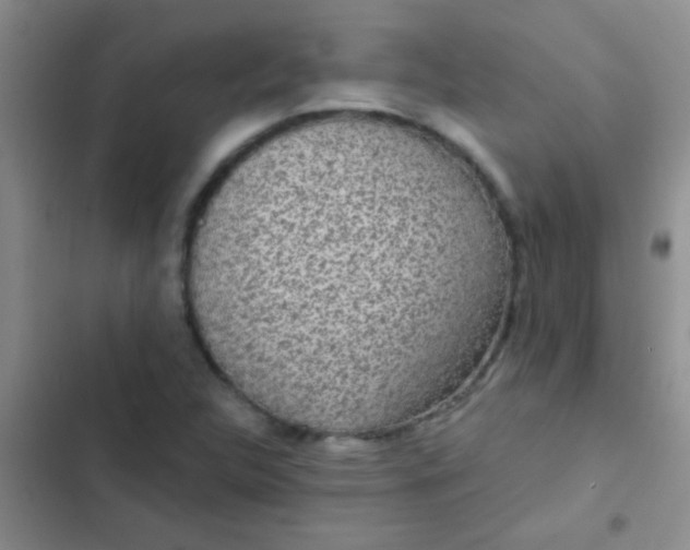 X0000102531312200808221856