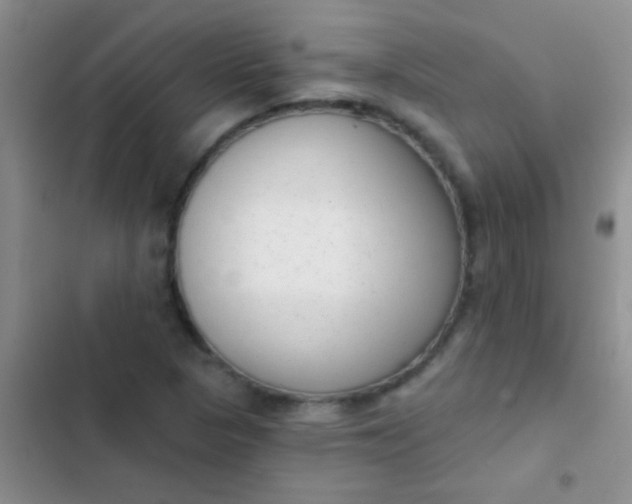 X0000102531313200808221856