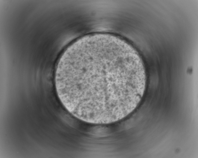 X0000102531314200808221856