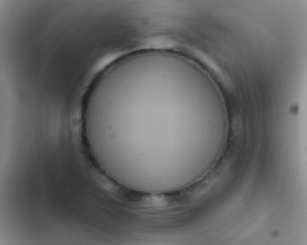 X0000102531315200808221856