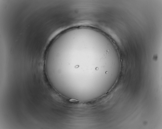 X0000102531316200808221856