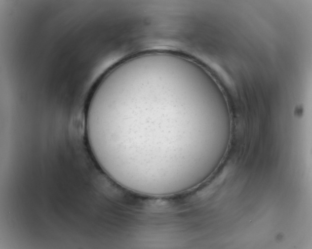 X0000102531317200808221856