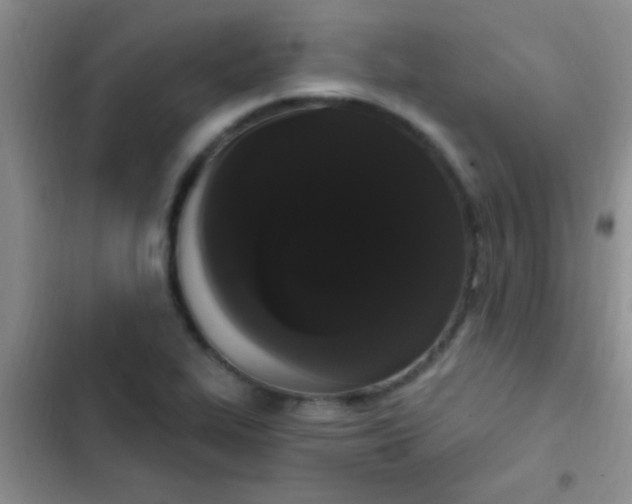 X0000102531319200808221856