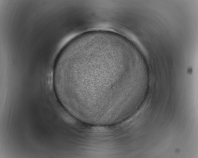 X0000102531320200808221856