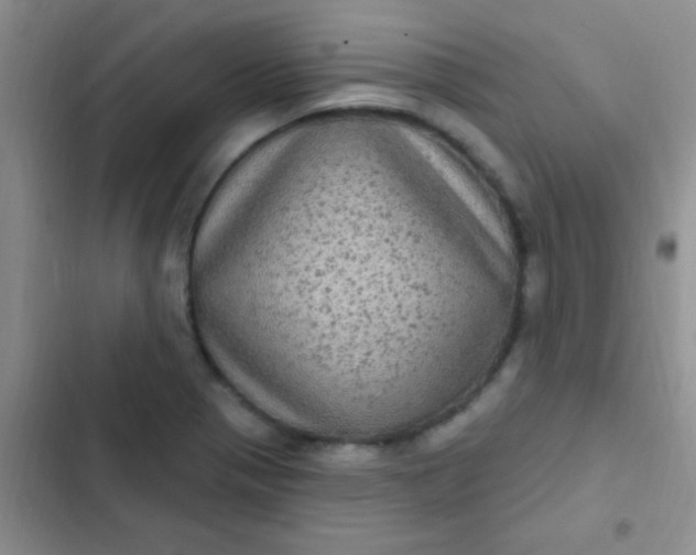 X0000102531321200808221856