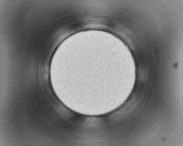 X0000102531322200808221856