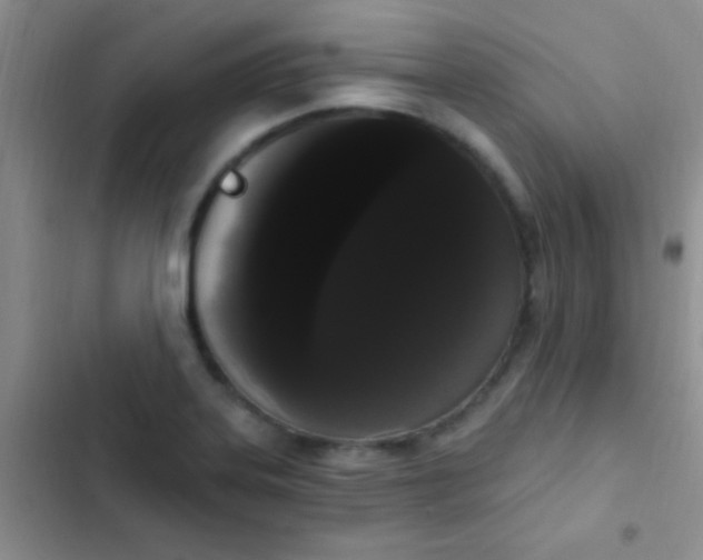 X0000102531323200808221856