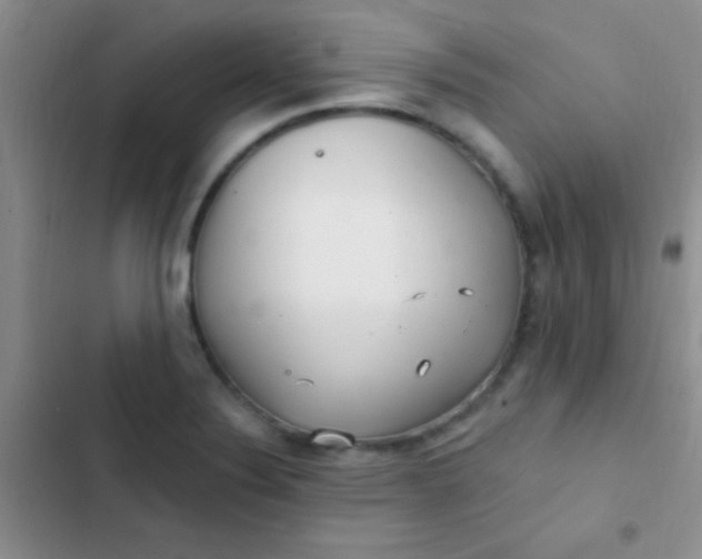 X0000102531324200808221856