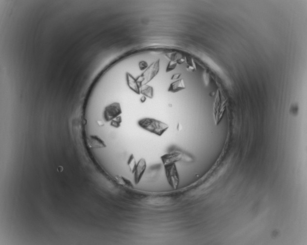 X0000102531325200808221856