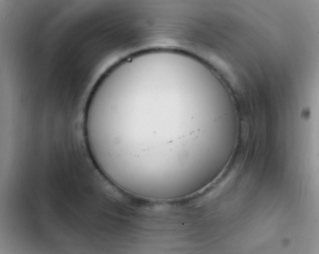 X0000102531326200808221856