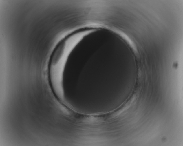 X0000102531327200808221856