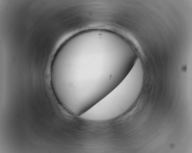 X0000102531328200808221856