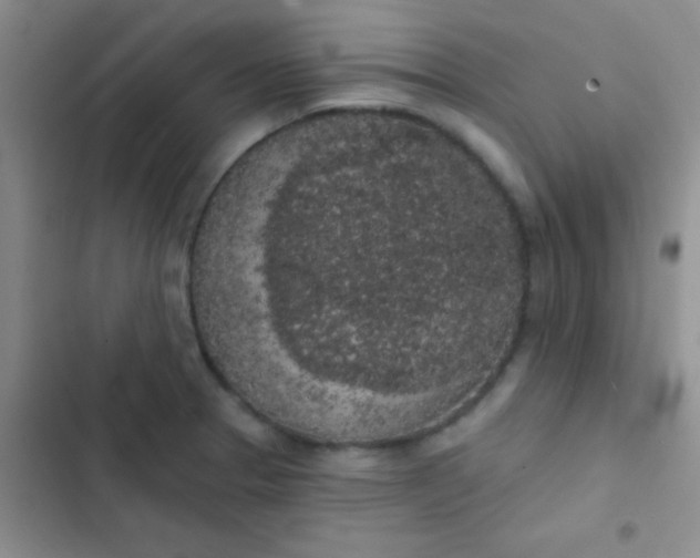 X0000102531329200808221856