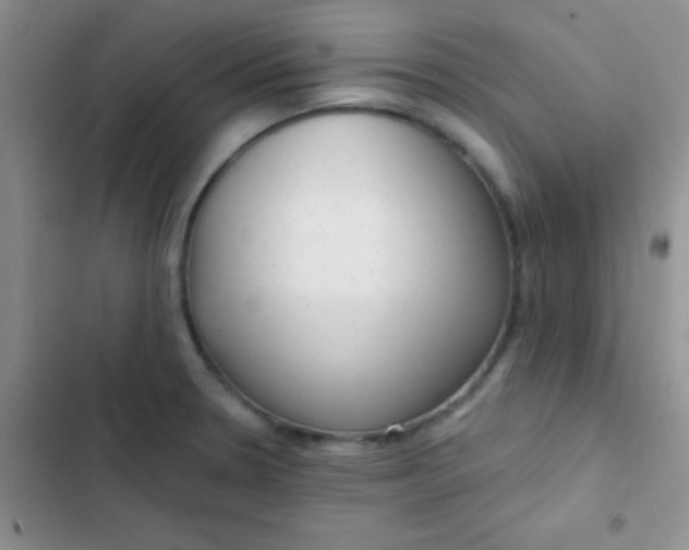 X0000102531330200808221856