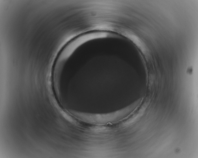 X0000102531331200808221856