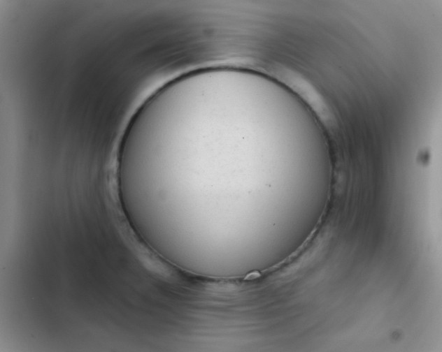 X0000102531332200808221856